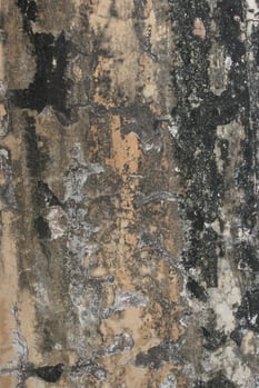 Natural Aging of the Stone Temple Wall Natural Aging of the Stone Temple Wall