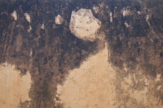 Natural Aging of the Stone Temple Wall Natural Aging of the Stone Temple Wall